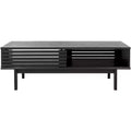 Aricia 2 Door Coffee Table - Safavieh